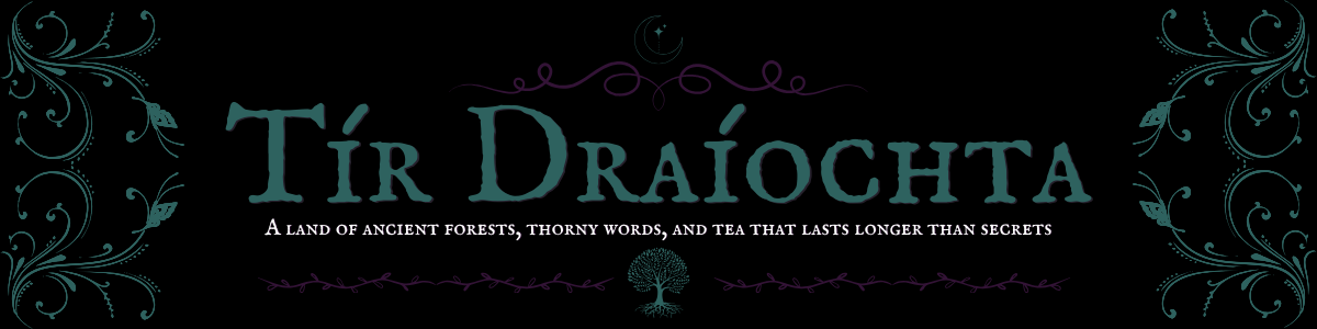 Tír Draíochta banner
