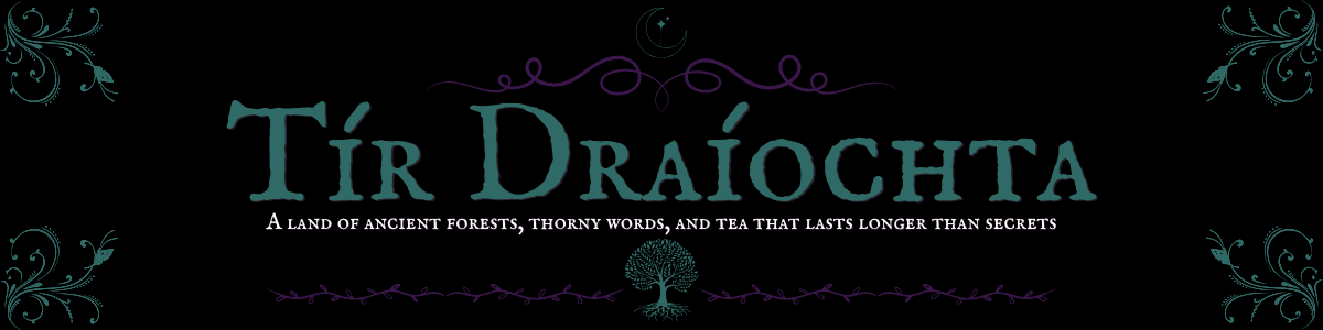 Tír Draíochta banner